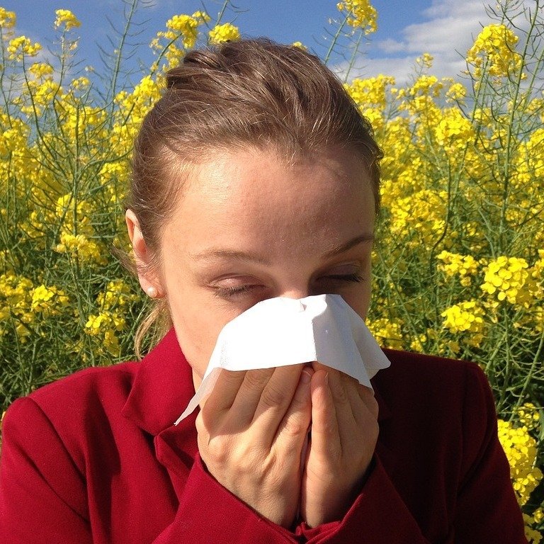 Hay Fever Allergy relief
